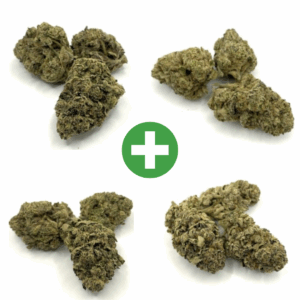 https://cannacove.info/wp-content/uploads/2025/05/Hoodie-cannacove-back-1-300x300.png