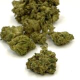 Surfside Truffle Runtz 3.5 Grams - Image 8