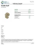 Surfside Double Stuff 3.5 Grams - Image 8