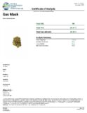 Surfside Gas Mask 3.5 Grams - Image 9