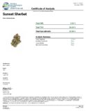 Surfside Sunset Sherbert 3.5 Grams - Image 9