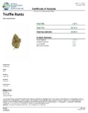 Surfside Truffle Runtz 3.5 Grams - Image 9